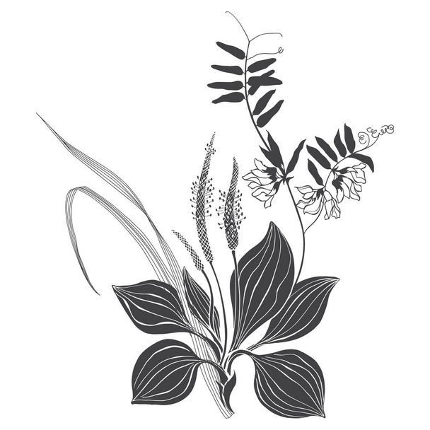 Vector illustration with wildflowers and herbs on white. Invitation, greeting card.  - Vektori, kuva