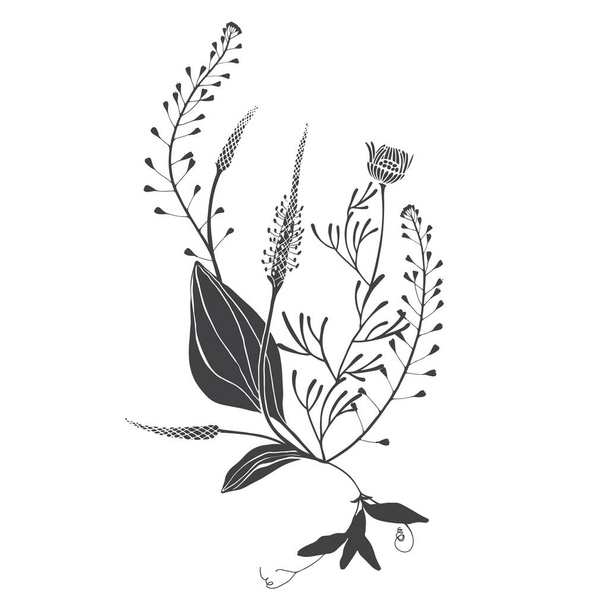 Vector illustration with wildflowers and herbs on white. Invitation, greeting card.  - Vektori, kuva