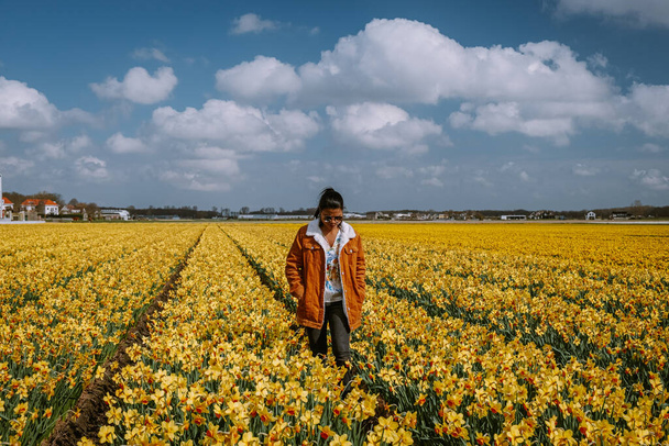 Sarı çiçek tarlası, sarı çiçek tarlasında yürüyen kadın Hollanda 'da bahar boyunca sarı nergis çiçekleri - Fotoğraf, Görsel