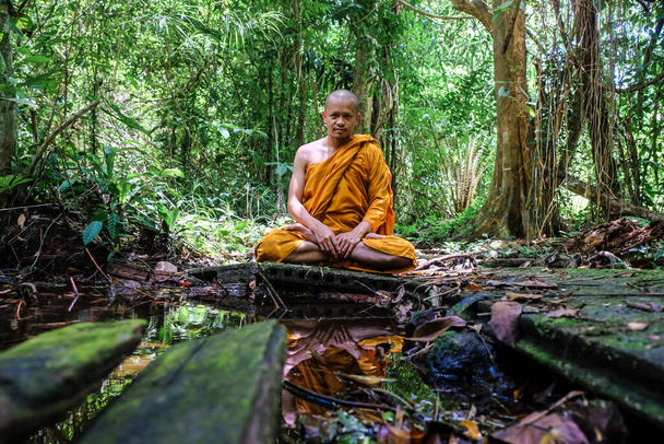 Budist keşiş derin orman dini kavramında meditasyon yapar. - Fotoğraf, Görsel