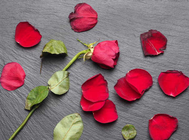 verblasste rote Rosenblume mit Blütenblättern auf schwarzem Hintergrund - Foto, Bild