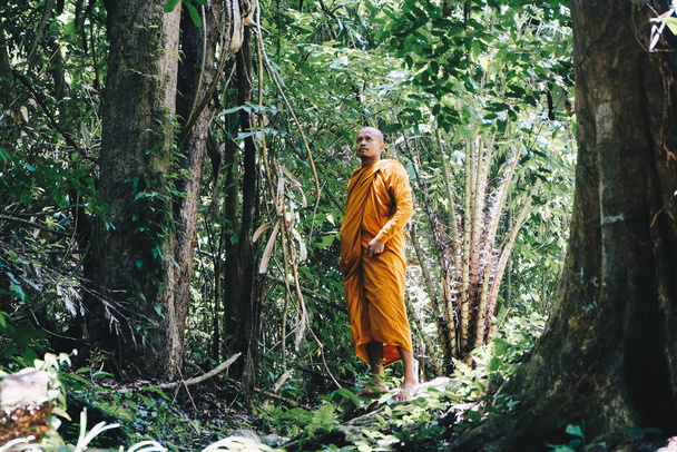 Buddhistischer Mönch macht Meditation im tiefen Wald Religionskonzept - Foto, Bild