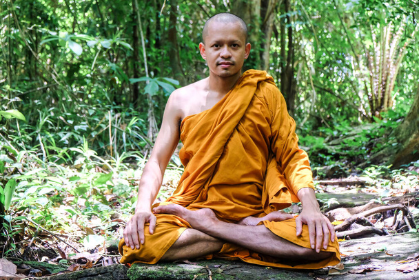 仏教の僧侶は深い森の宗教の概念で瞑想を行う - 写真・画像