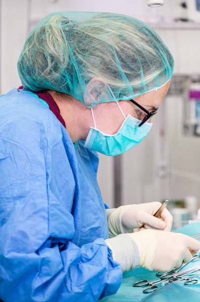 Женщина-хирург в операционной, оперирует пациента
. - Фото, изображение