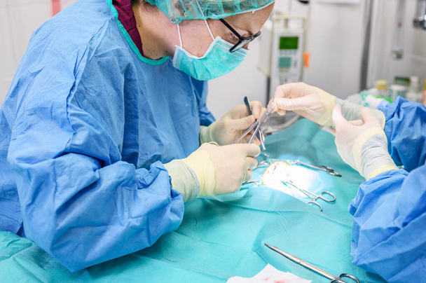 Naiskirurgi leikkaussalissa, operoimassa potilasta
. - Valokuva, kuva