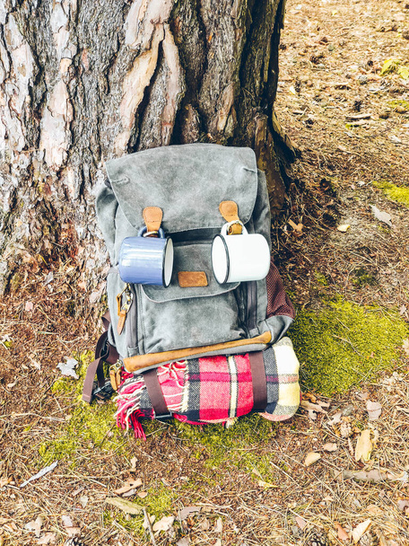 hiking backpack in forest on the ground copy space - Fotó, kép