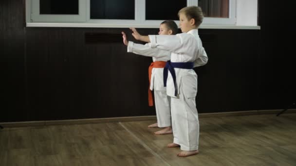 Los niños en karategi están haciendo golpe manos en rack de karate
 - Metraje, vídeo