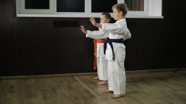 W karategi, dzieci ćwiczą karate kicks - Materiał filmowy, wideo