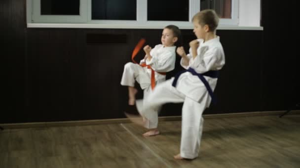 Děti ve stánku karate trénují kopance do nohou - Záběry, video