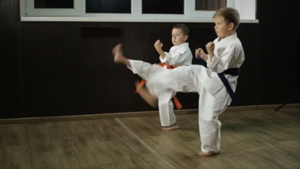 chłopcy w karategi pociąg kopie - Materiał filmowy, wideo