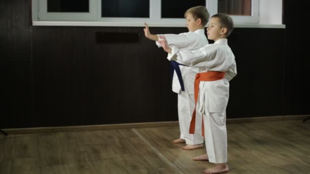 Chłopcy robią ciosy rękami na stojaku karate. - Materiał filmowy, wideo