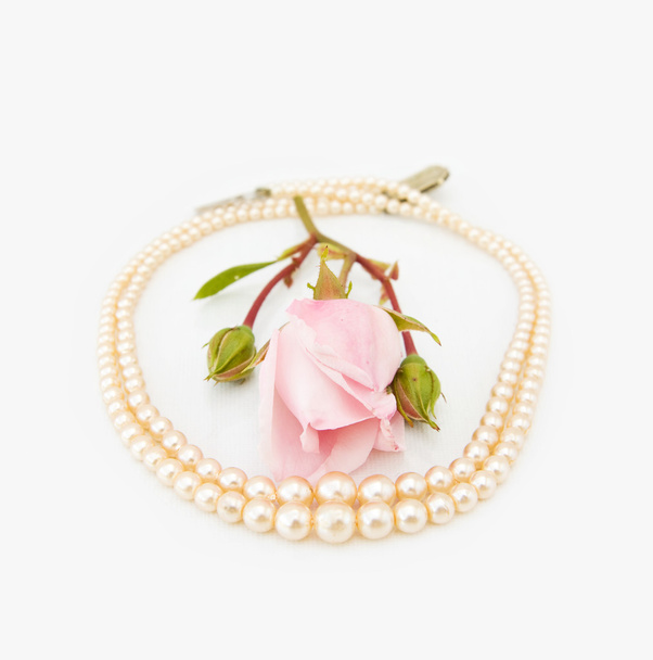 ピンクのバラとヴィンテージの真珠 - 写真・画像