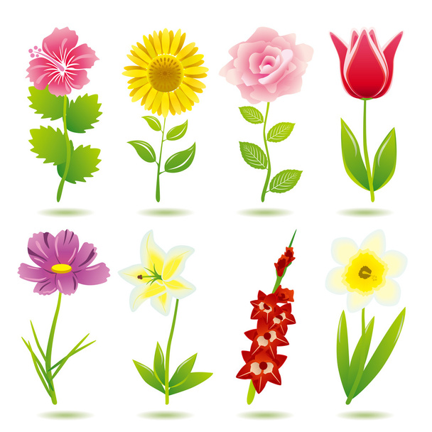 8 flower icons set - Vector, Image