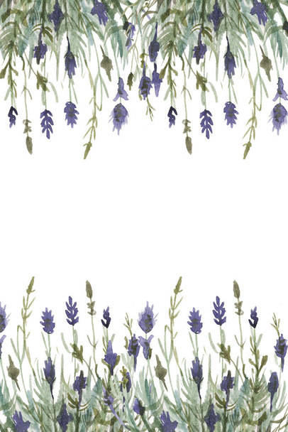 ラベンダーは水彩柄のシームレスなプリントテキスタイルアロマセラピーハーブ春の花は白い背景フレームのロゴのポストカードに咲く - 写真・画像