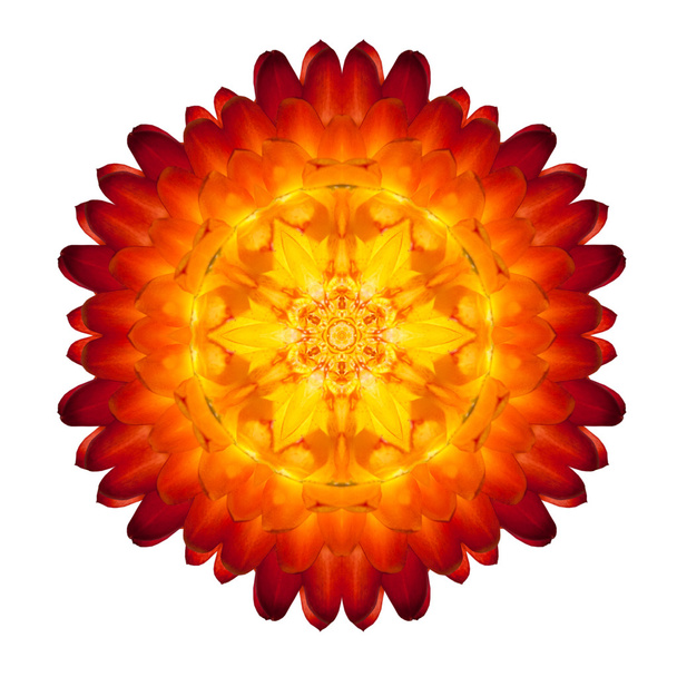 Kaleidoscopic Strawflower Mandala Isolated on White - Foto, imagen