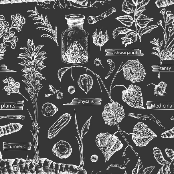 Eskiz elle çizilmiş kusursuz desenli eskiz şifalı bitkiler kara tebeşir tahtası arka planında izole edilmiş. Wormwood, zerdeçal, tansi, ashwagandha, çobanlar, çanta, ginseng. Vektör illüstrasyonu - Vektör, Görsel