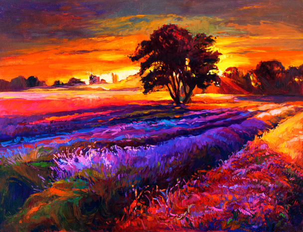 Lavender fields - Photo, Image