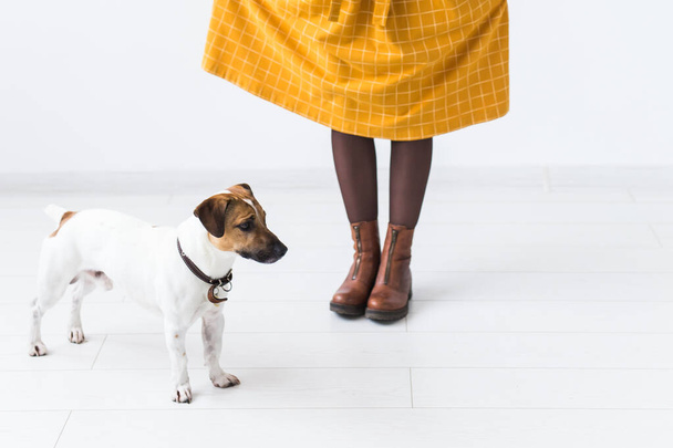 Jovencita alegre posando en un vestido amarillo con su amado perro Jack Russell Terrier de pie sobre un fondo blanco. El concepto de ropa casual y mascotas
 - Foto, imagen