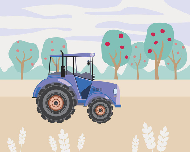 Farm tractor in the field with grain or crop and a vintage garden with apples on the trees. Flat vector stock illustration with purple tractor as a concept of retro eco friendly farming and village - Vector, Image