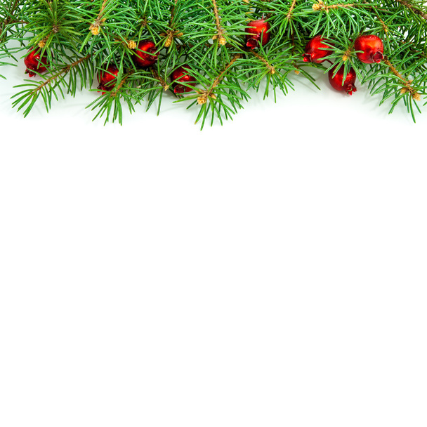 Vánoční hranice s červeným ovocem - Fotografie, Obrázek