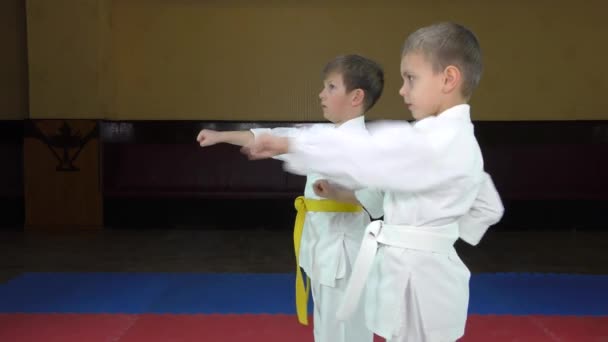 Αθλητές χτυπούν χτυπήματα χέρια στέκεται στο κόκκινο και μπλε tatami - Πλάνα, βίντεο