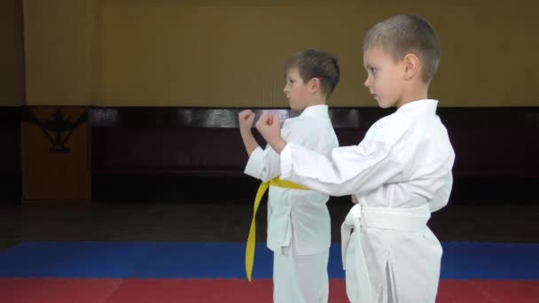Kinder, die auf roten und blauen Tatami stehen, schlagen Punsch - Filmmaterial, Video