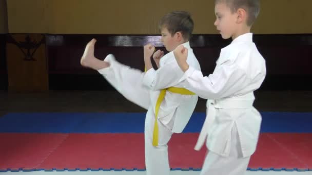 Deux athlètes donnent un coup de pied sur le tatami rouge et bleu
 - Séquence, vidéo