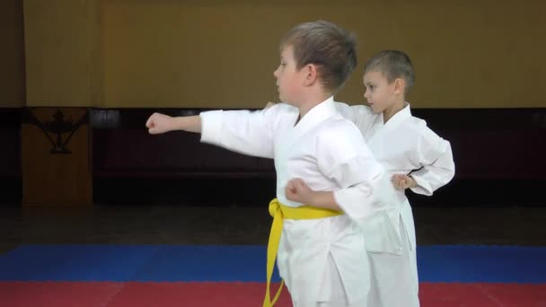 Two athletes in karategi beat karate stance - Footage, Video
