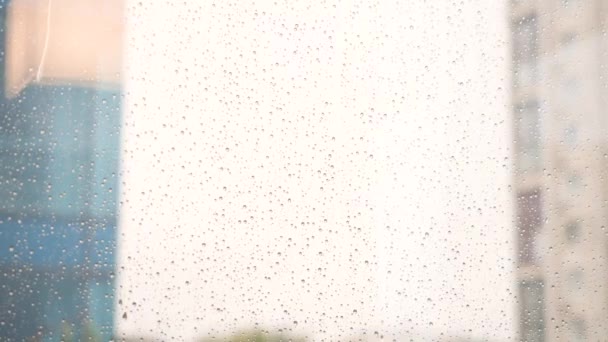 Gocce di pioggia si sono sparse sopra vetro trasparente contro un giorno della via, vista ravvicinata. Veduta paesaggistica di goccia d'acqua naturale di pioggia su vetro trasparente. Gocce di pioggia. gocce d'acqua in piedi ancora su un vetro della finestra
 - Filmati, video