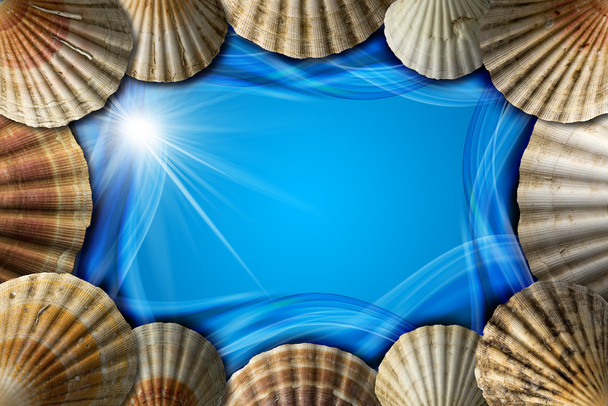 Seashells no fundo abstrato do mar
 - Foto, Imagem