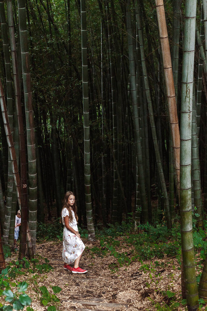 young girl in a white dress in the forest - Foto, Imagem
