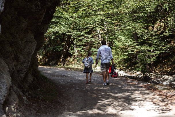 back view of father and daughter walking on path in forest - Foto, imagen