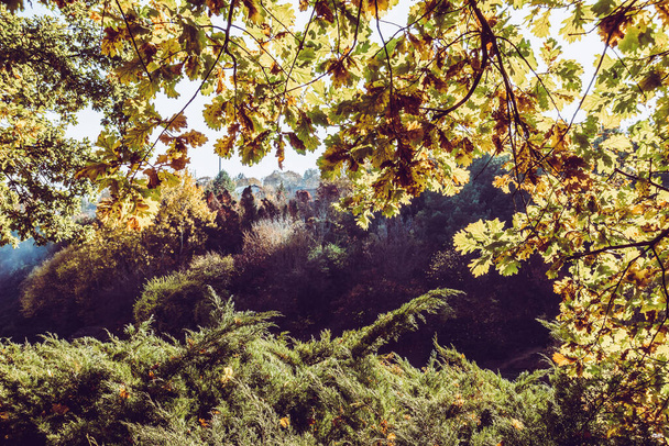 Чудова осінь в прекрасному історичному парку
 - Фото, зображення