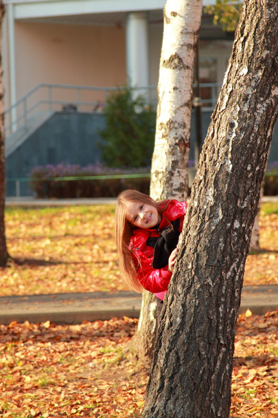 Little girl at autumn park - Foto, immagini