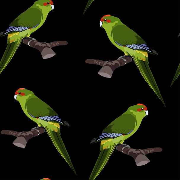 Modello di pappagallo verde senza cuciture su uno sfondo nero per carta da parati, avvolgimento, imballaggio e sfondo
.  - Vettoriali, immagini