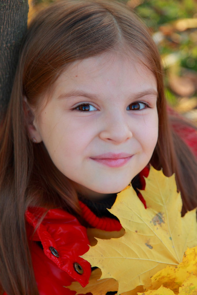 Little girl with autumn leaves - Valokuva, kuva