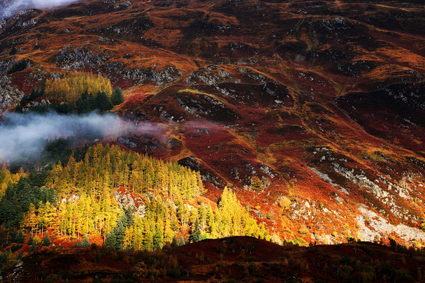 Couleurs d'automne dans les Highlands
 - Photo, image