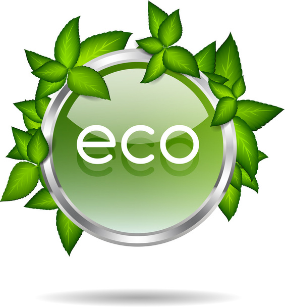 Shiny green glass vector badge with green leaves - eco - Вектор,изображение