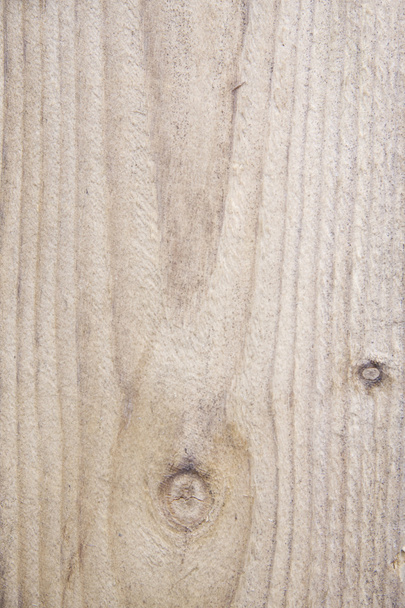 Texture of wood background - Фото, изображение