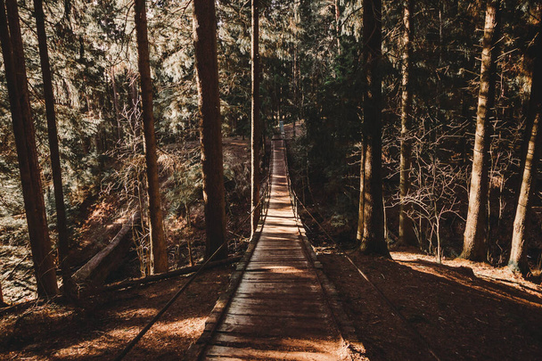 Felfüggesztés híd a fenyves erdő fotó festői kilátás utazás fa kültéri park túrázás - Fotó, kép
