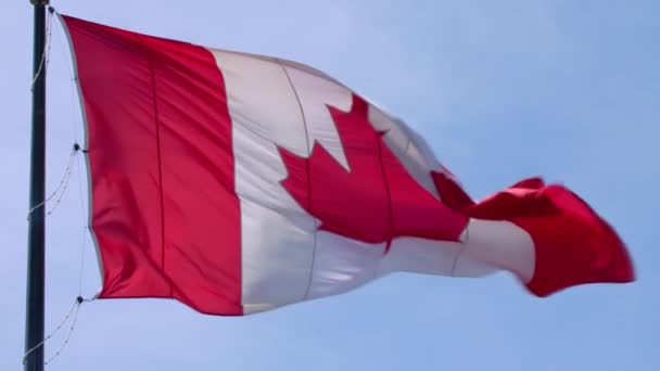 Fascinating national symbol Canada flag red white maple leaf banner waving on pole in wind on blue sky sunny background - Footage, Video