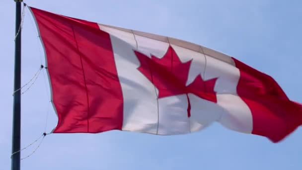 Spectacular national symbol Canada flag red white maple leaf banner waving on pole in wind on blue sky sunny background - Footage, Video