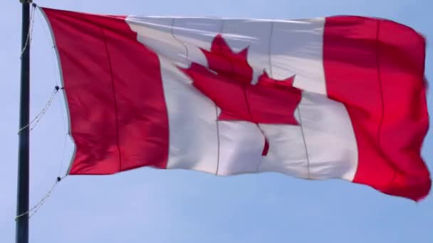 Magnificent national symbol Canada flag red white maple leaf banner waving on pole in wind on blue sky sunny background - Footage, Video