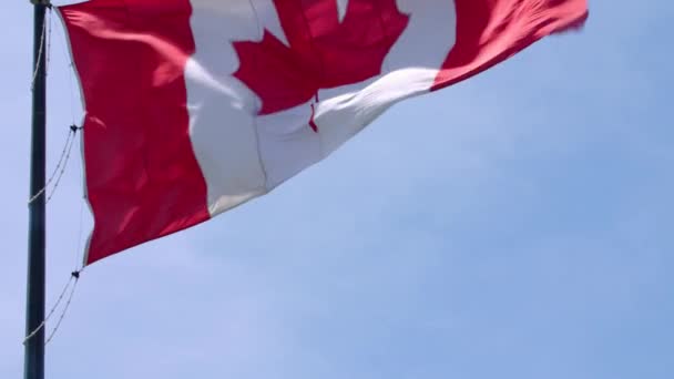 Breathtaking national symbol Canada flag red white maple leaf banner waving on pole in wind on blue sky sunny background - Footage, Video