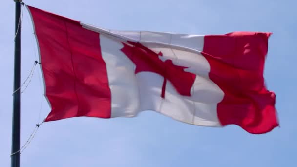 Picturesque national symbol Canada flag red white maple leaf banner waving on pole in wind on blue sky sunny background - Footage, Video