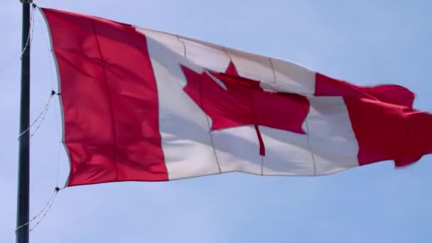 Incredible national symbol Canada flag red white maple leaf banner waving on pole in wind on blue sky sunny background - Footage, Video