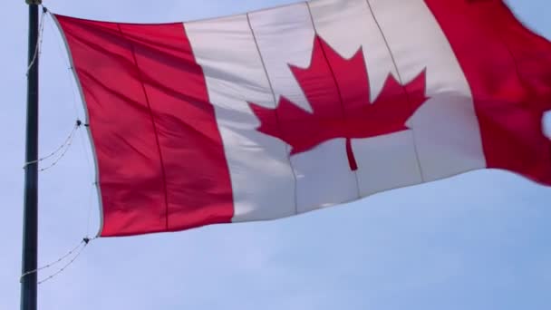 Impressive national symbol Canada flag red white maple leaf banner waving on pole in wind on blue sky sunny background - Footage, Video