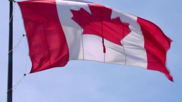 Marvellous national symbol Canada flag red white maple leaf banner waving on pole in wind on blue sky sunny background - Footage, Video