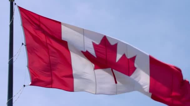Beautiful national symbol Canada flag red white maple leaf banner waving on pole in wind on blue sky sunny background - Footage, Video
