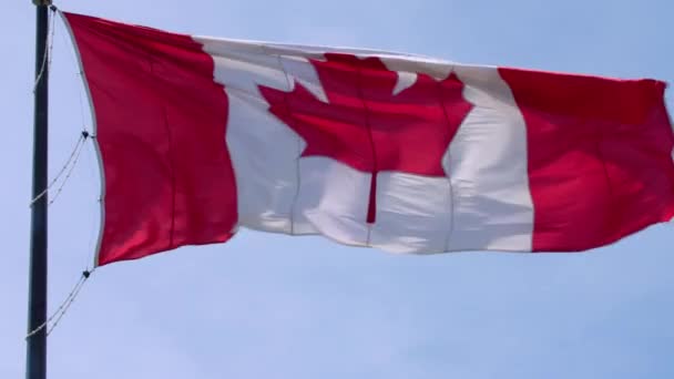 Wonderful national symbol Canada flag red white maple leaf banner waving on pole in wind on blue sky sunny background - Footage, Video